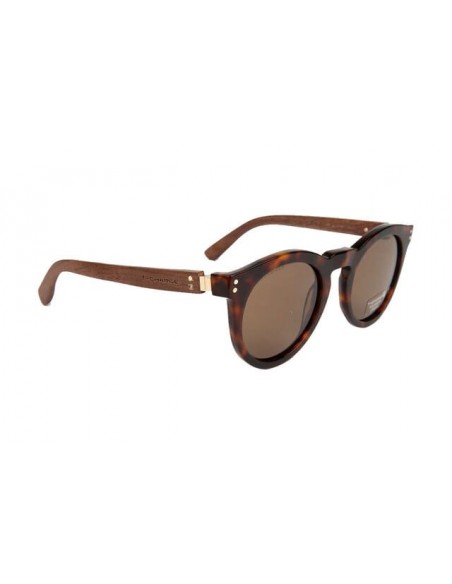 Gafas de Sol T-Charge T9068 T01 | New Elite Shop ®